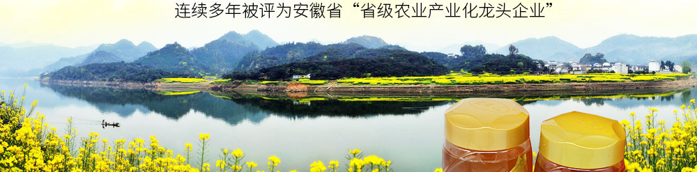 黃山市徽州宏星綠色實(shí)業(yè)有限公司