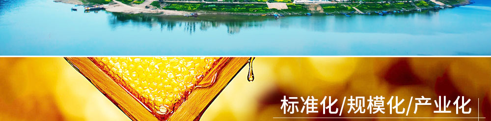 黃山市徽州宏星綠色實(shí)業(yè)有限公司