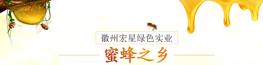 黃山市徽州宏星綠色實(shí)業(yè)有限公司